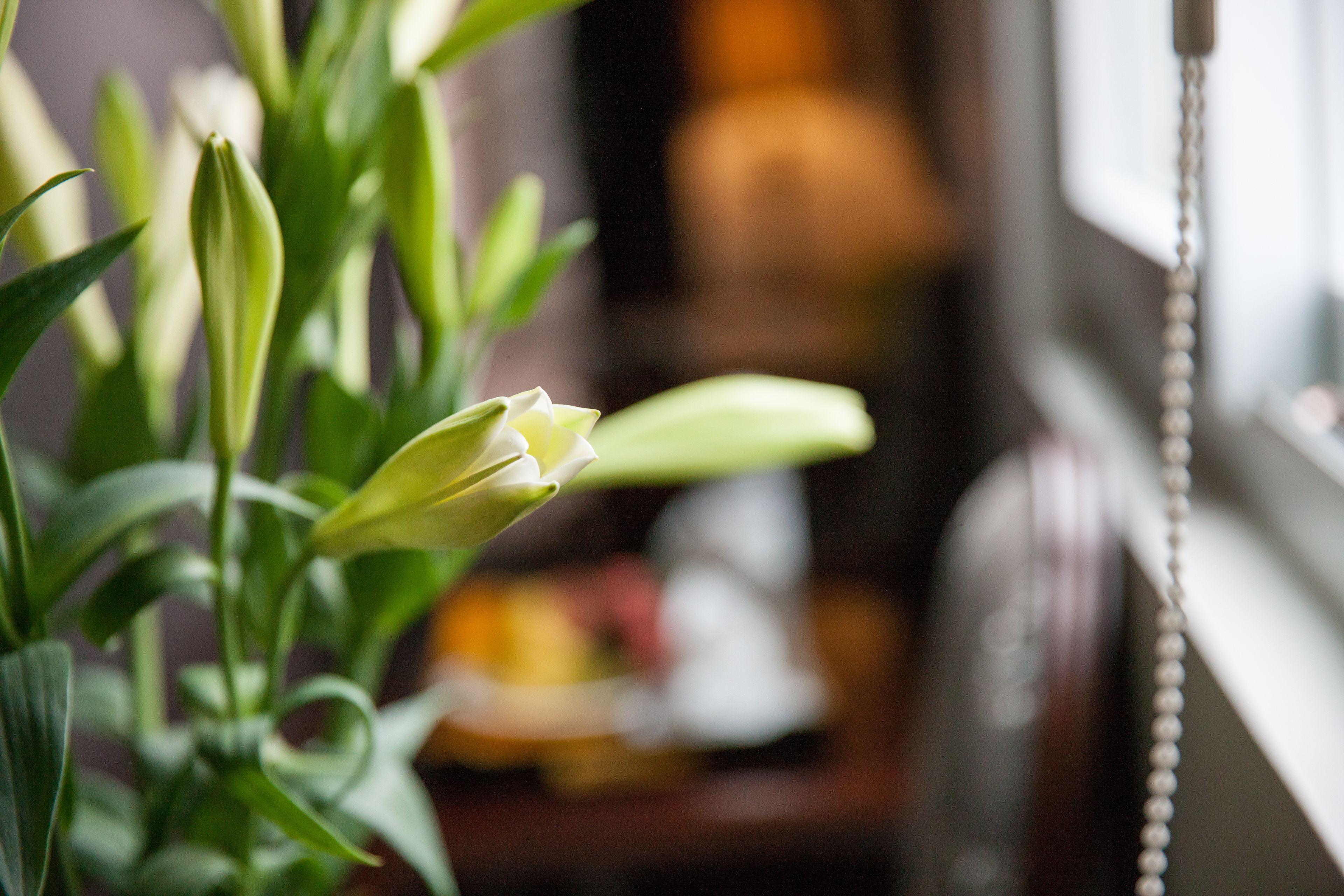 Dragon Pearl Hotel Hanoi — Photos 1