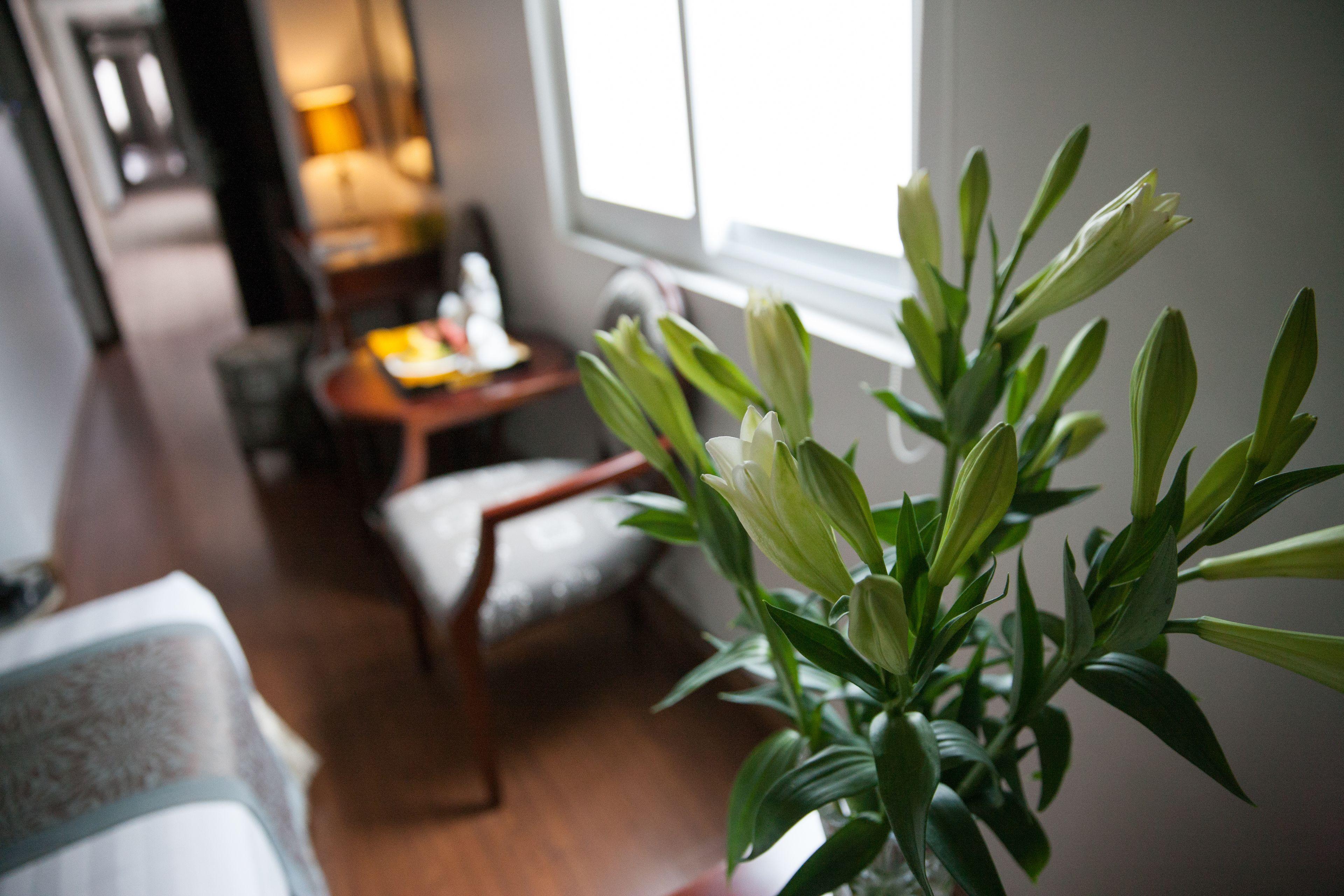 Dragon Pearl Hotel Hanoi — Photos 3